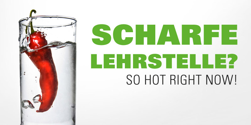 Lehrstelle Installateur bei WESTO - Höchst, Lustenau, Vorarlberg